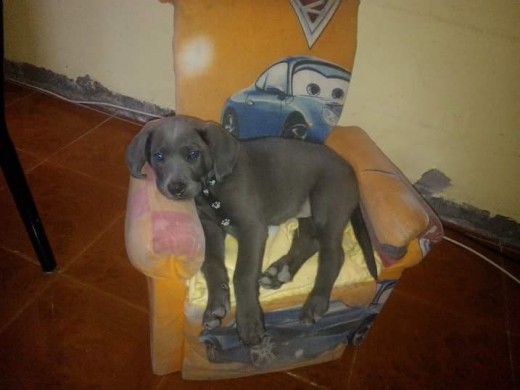 Aquí tenia unos tres meses nas o menos le encantaba dormir ahí.