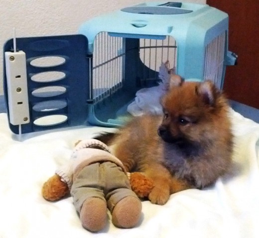CON SU PELUCHE