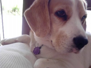 Loly te extraño muuuuuuucho!! :(