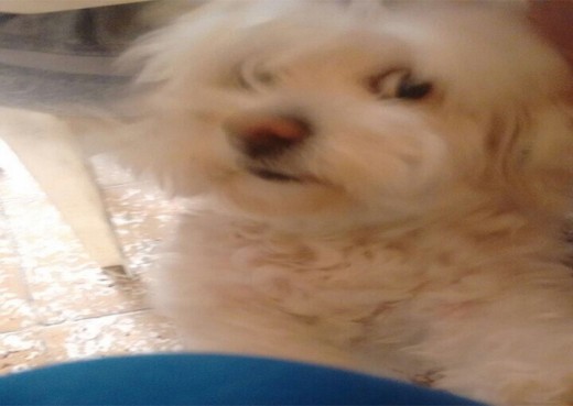 Ella es bebe, le gusta comer sobres de carne y jugar con el ipad