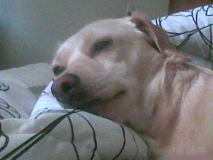 kiara en la cama

