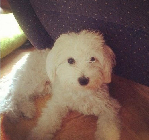 Lucas :)