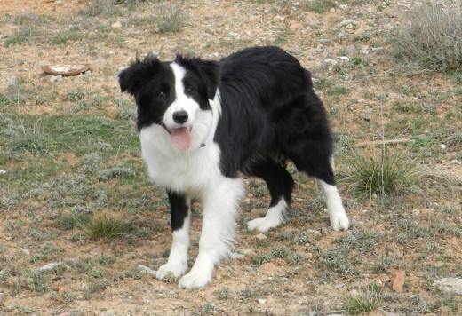 Luna con 6 meses