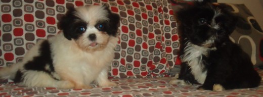 Layla y su hermanito Jakob.
