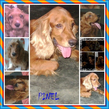 mi bebe hermoso 