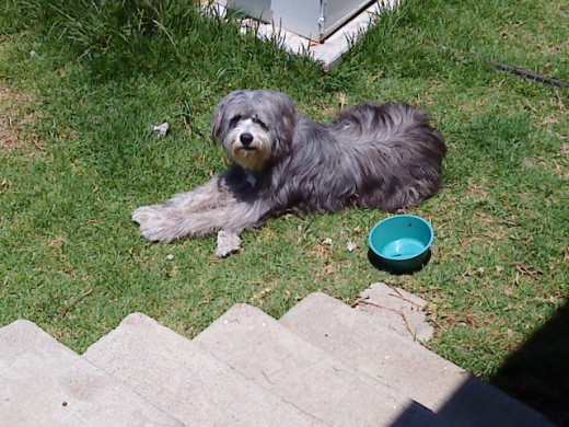 wilson tomando el sol !!!