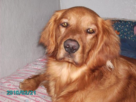 QUE GUAPO MI ZEUS 
BUSCO NOVIA 