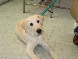 sonny a los 6 meses
