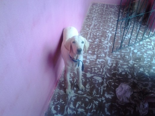 Modelando en el porche de la casa