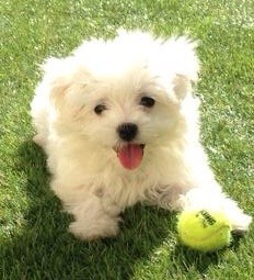 Mi niña con casi 4 meses