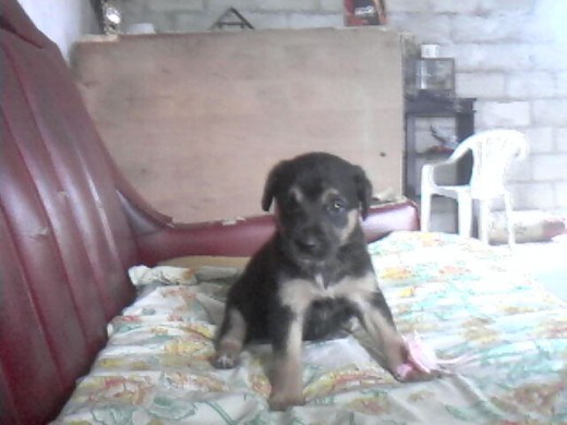 mi niña es muy tierna y obediente esa foto le tome cuando ella tenia un mes ahora ella tiene 1 año :D es muy linda :D