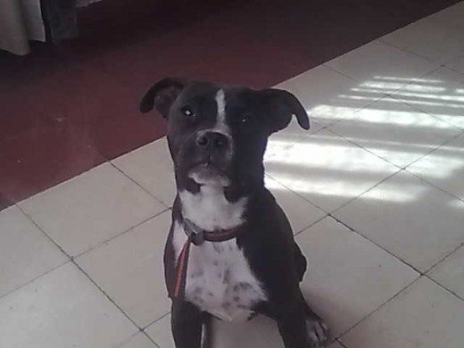 mi princesa mi princesa