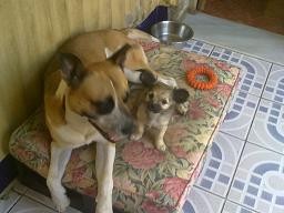 tambien cuido de los peques