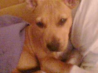 Cuando Daisy era pequeñita, solo 2 meses Cuando Daisy era pequeñita, solo 2 meses