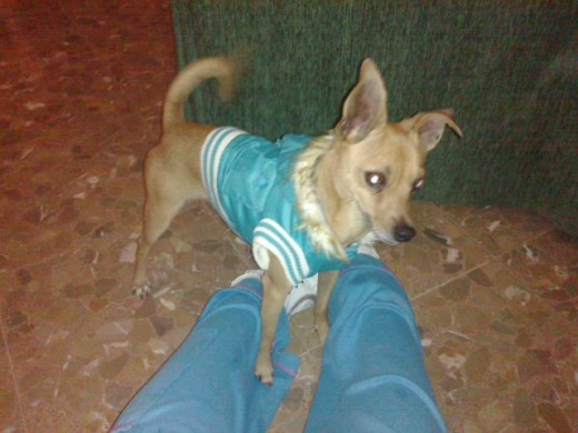 MI Quiro MI Quiro