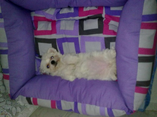 Primer día en casa, mi bebé...