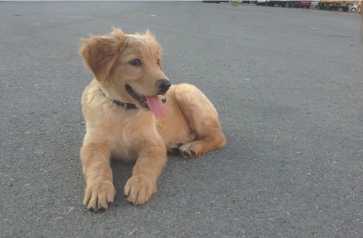 pose prince! pose prince!