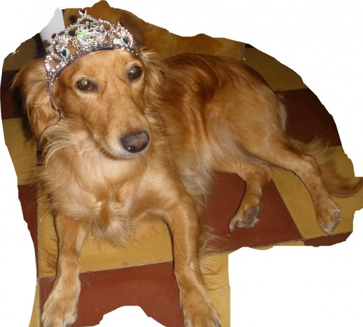 Mi pequeña princesa. Mi pequeña princesa.