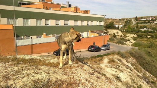 Que miras! Que miras!