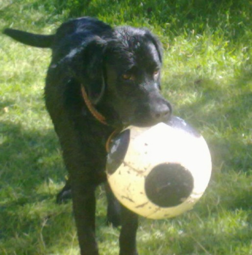 Jugando con el balón (: Jugando con el balón (: