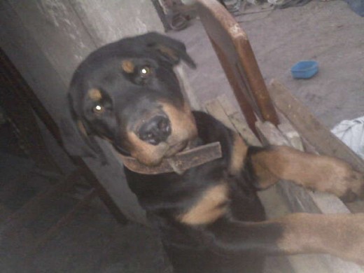 jeje aqui mi tesoroo siempre mirando todo.. =) jeje aqui mi tesoroo siempre mirando todo.. =)