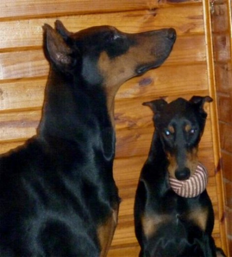 KUSEL Y NUEVA COMPAÑERA ATHEA