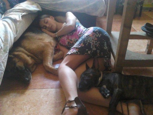 descansando los 3 juntos T_T