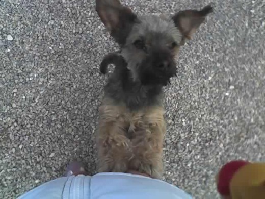 rufo pelado eejje rufo pelado eejje