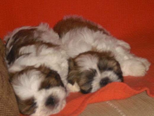 En casa de mi papa con mi hermana dormiditos en el sofa.