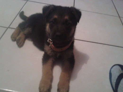 posando
posando