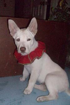 hermosa mi Belaa--