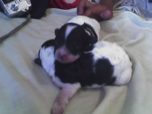 recien nacio¡¡¡¡¡