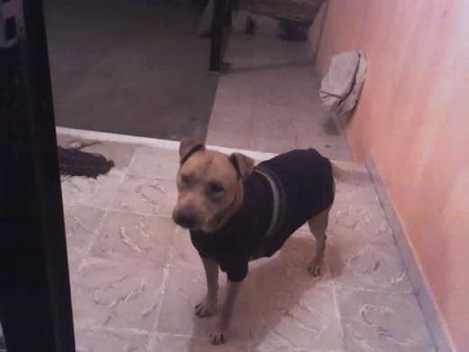 Aqui con algo de frio jejeje Aqui con algo de frio jejeje