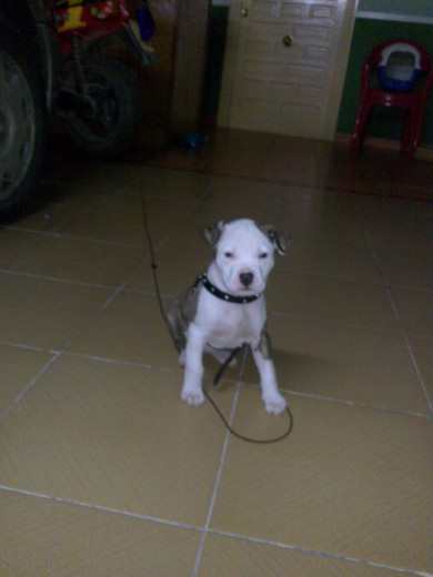 Noah con 1mes Noah con 1mes