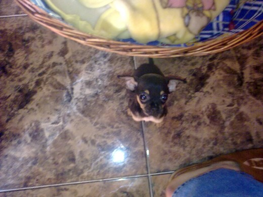 este es golfo