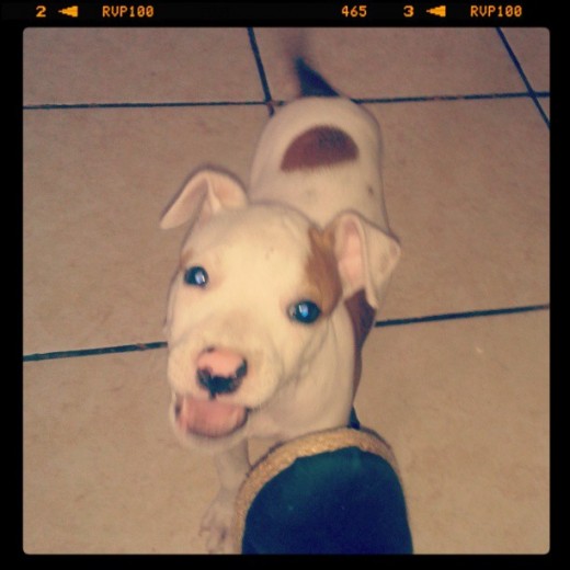 Kiara con 2 meses :)
