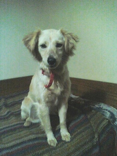 Te amo. Te amo.