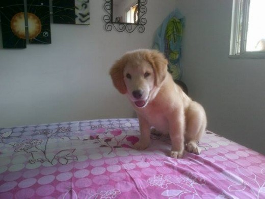 Sam con 3 Meses 