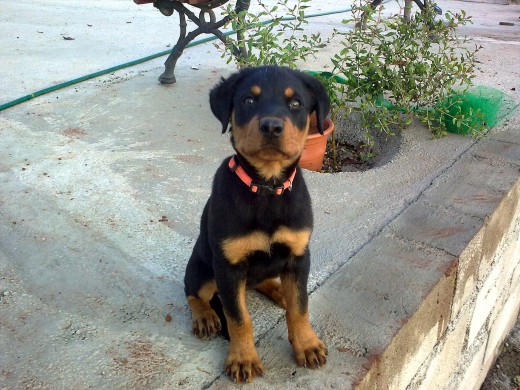 con 2 meses con 2 meses