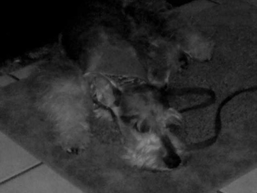 descansando despues de salir jeje descansando despues de salir jeje
