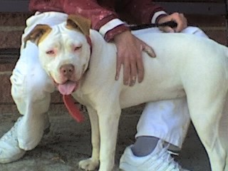 tana 8 meses 2