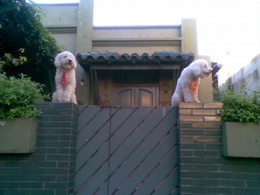 los guardianes de la casa