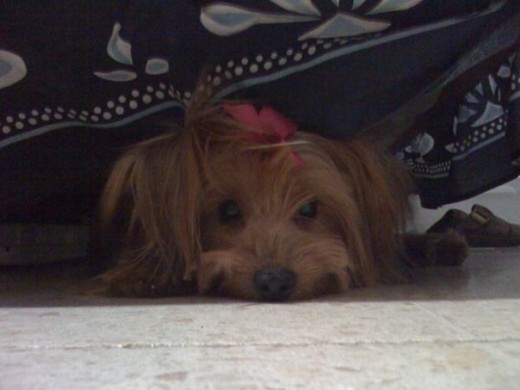 Mika :) Mika :)