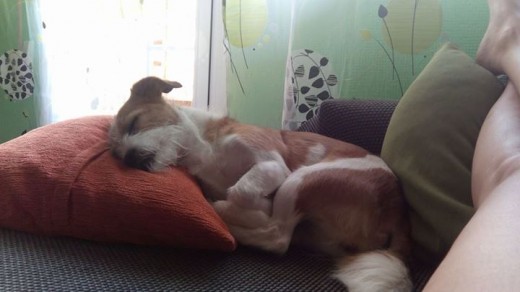Como me gustan mis siestas... Como me gustan mis siestas...