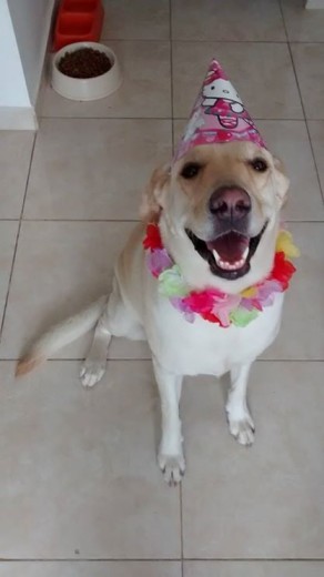 Cumpliendo 2 años.