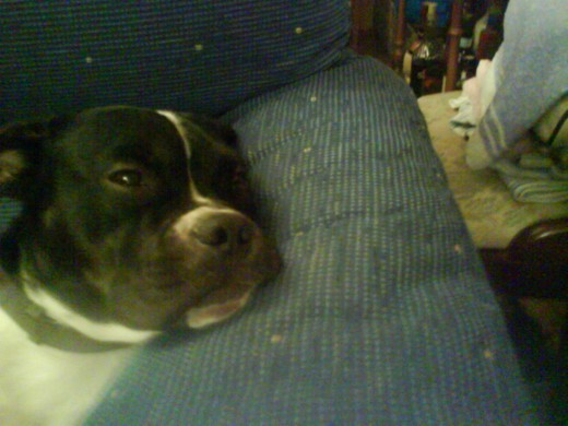 me estoy quedando frita, estoy en casa de mis abuelitos que me quieren mucho.