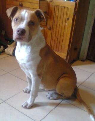 cosita tierna