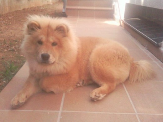 Mi GorDiTa!!!!!!!!!!!!!!!!!!!!!!!!!!!!!!! Mi GorDiTa!!!!!!!!!!!!!!!!!!!!!!!!!!!!!!!