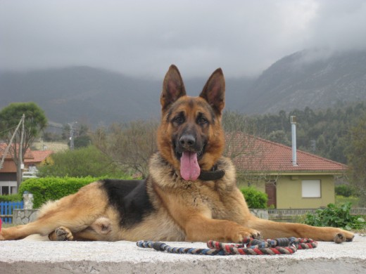 rassel en la playa de la espasa descansando despues de una tarde de juego!!