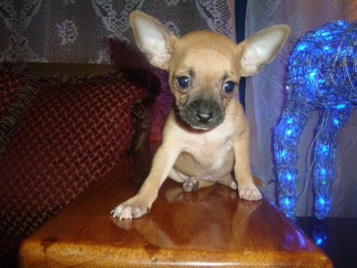 tommy cuando era bebe ..... tommy cuando era bebe .....